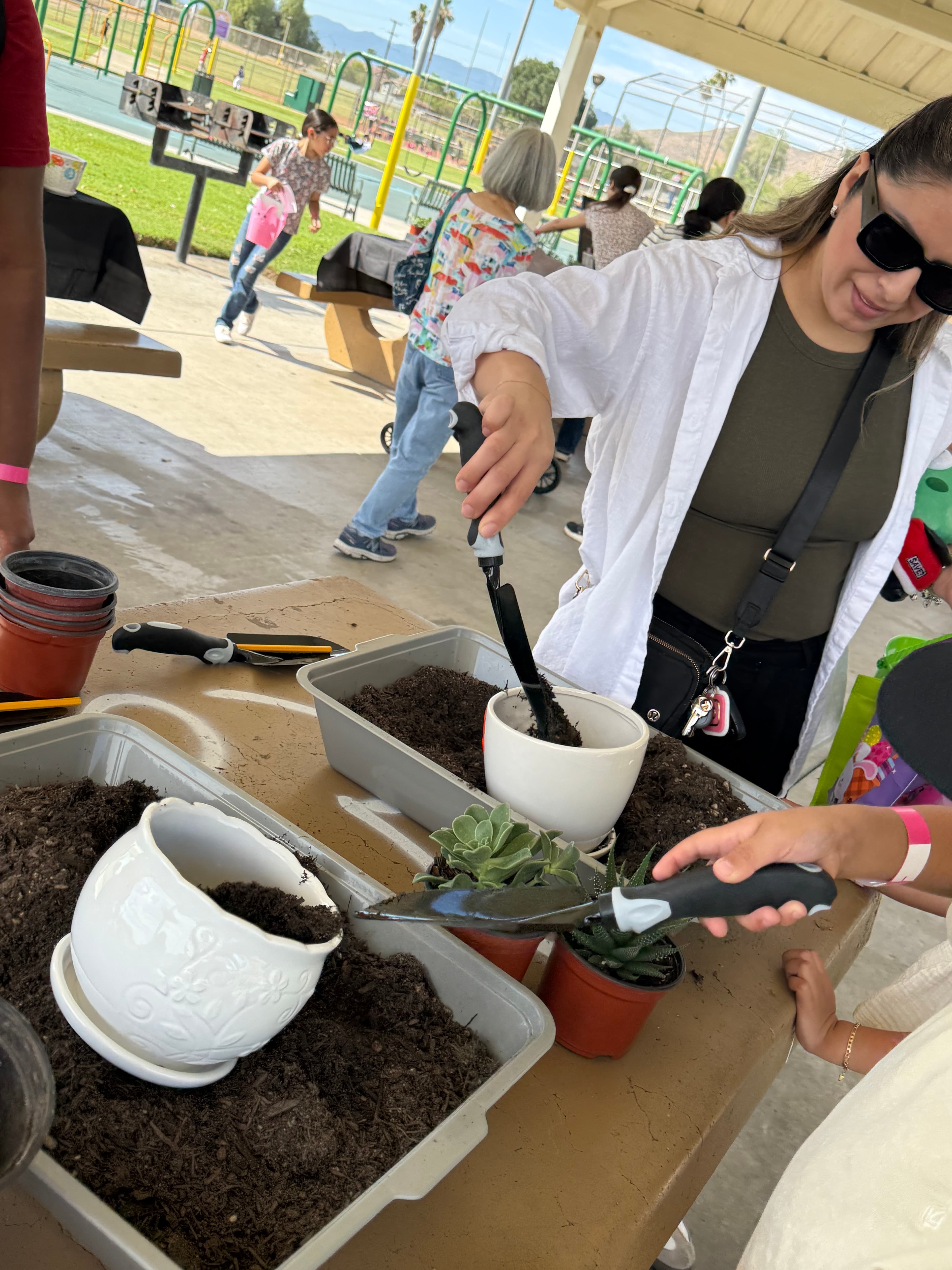 People use trowels to fill white ceramic pots with soil for succulents outdoors.